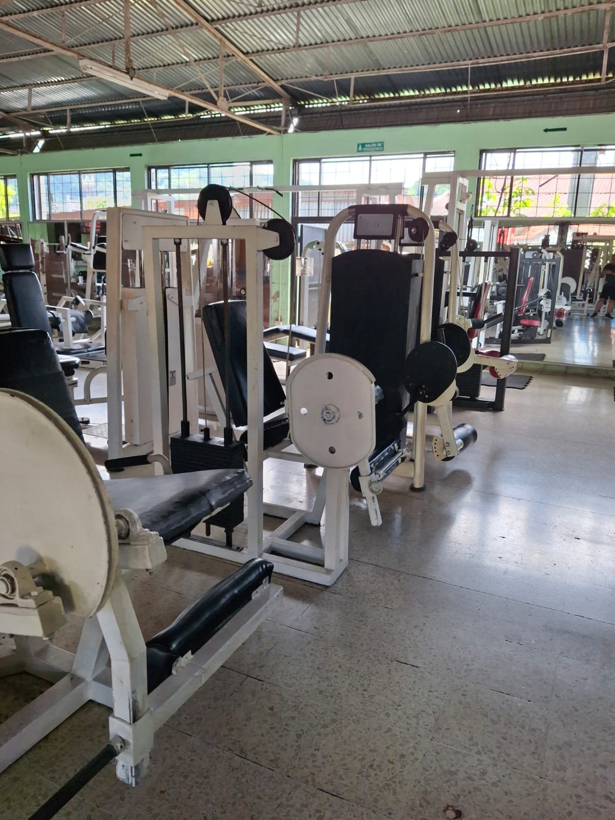 Animal Gym Action